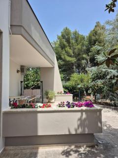 Villa Magnolia - Galatina - 2