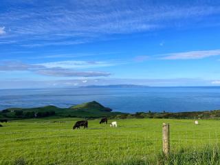 Torr Brae Getaway - - 9