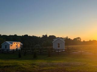 Luxury Riverfront Tiny Home- Amazing Views #555 - Strawberry Plains - 8