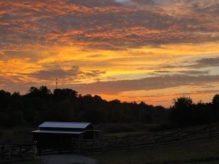 Luxury Riverfront Tiny Home- Amazing Views #555 - Strawberry Plains - 2