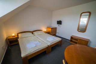 Hotel Elsyn Dvůr - Stachy - 4