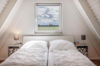 50099Deichnest - 1