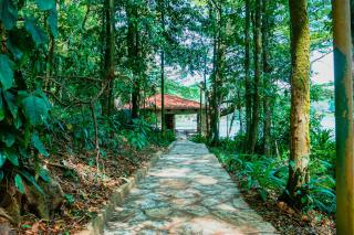 La Perezosa en Cerro Azul - Somos Pet friendly - Cerro Azul - 8