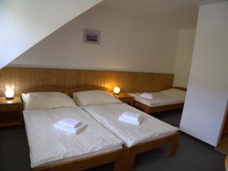 Hotel Elsyn Dvůr - Stachy - 3
