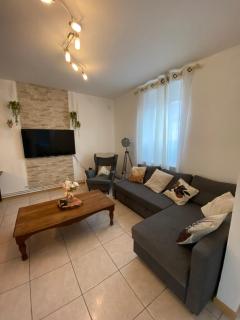 Maison avec jardin Orléans métropole - Fleury-les-Aubrais - 7