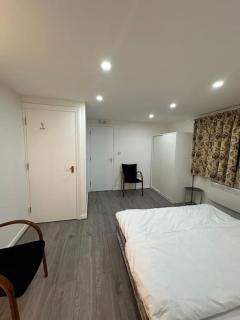 Newly decorated Studio Flat - 2