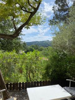Sous la pinède provençale - La Destrousse - 5
