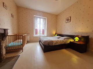 Gîte familial au bord du Canal de la Marne au Rhin, idéal pour pêche et randonnées, proche de Nancy - FR-1-584-29 - - 1