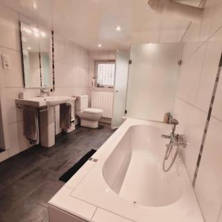 Maison à 6km de Strasbourg, à 2h de Paris en TGV - Niederhausbergen - 9