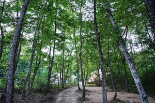 Glamping Azumino BASE Polecan - Vacation STAY 49297v - Azumino - 2