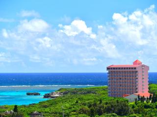 Wellness Villa Brisa - Miyakojima - 9