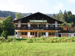 Appartement aux Gets, 1 chambre, parking, Wi-Fi - FR-1-671-66 - 8