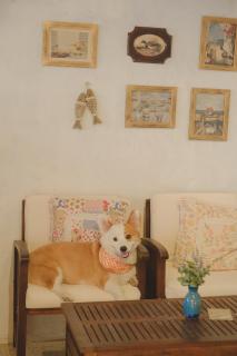 Nắng Mùa Hạ homestay - Cu Lao Thu - 8