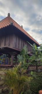 Pondok Kawinaya - Singaraja - 8