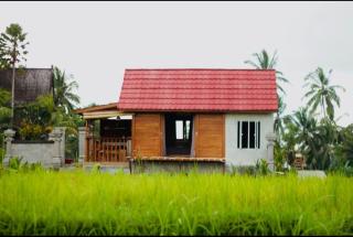 Siepat d'Carik Ubud - Ubud - 0
