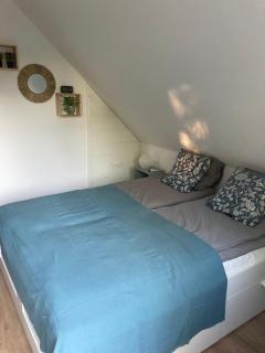 Bazsalikom-Apartman - Mezőkövesd - 3