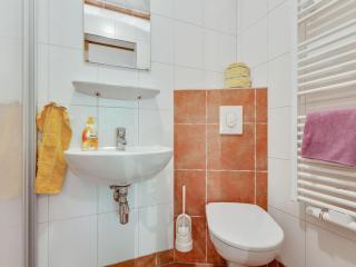 Apartment in Mittersill near Kitzbühel Ski Area - 5