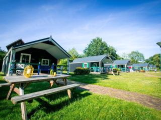 Holiday Lodge in Staphorst with Pool Access - IJhorst - 2