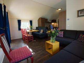 Chalet with dishwasher, in natural environment - IJhorst - 6