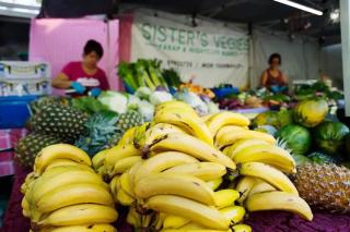 Tropical Oasis, saltwater pool In the heart of Parap Orange - 2