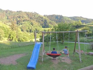 Heimatglück Schwarzwald - 7