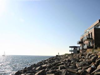 Seahorses in the Molenhuus - 1