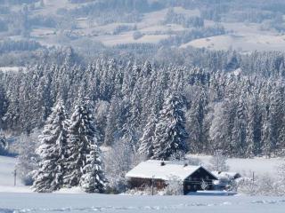 Hiemer 2 Comfortable holiday residence - 7