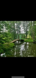 maison ancienne rénovée tout confort - Narcy - 2