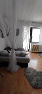 Central Apartments 2 - Novi Sad - 7