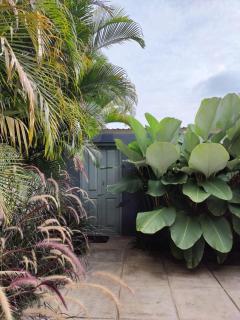 Tropicopia - Mysore - 6