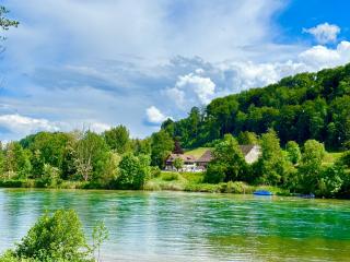 Studio beim Rhein - Ziegelhütte - Flaach - 7