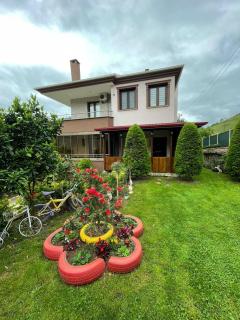 Vinland Villa Atalar - 2