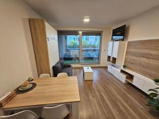 Apartment - O2 Arena Prague with parking - Prague - 8