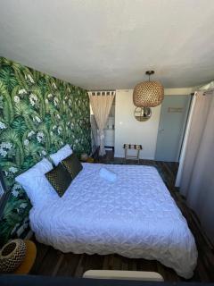 A louer appartement t2 - Espalion - 0