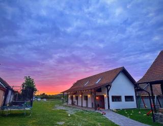 Casa de Lemn Arpasu de jos - Arpaşu de Jos - 5