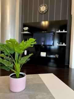 Unique and Spacious Apartment in Downtown - Budapest - 1