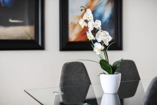 Chelmsford Town Centre, Modern 1 Bed Apartment - 1