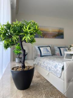 Ferienwohnung Strandoase inklusive Terrasse und Parkplatz - Sonnenseite - Scharbeutz - 7