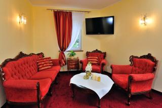 Hotel Na Błoniach - Bielsko-Biała - 7