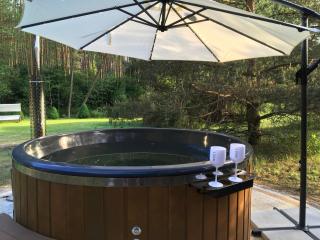 Deluxe Holiday Zdrojowa -Willa typu Alpejskiego w Borach Tucholskich-Całoroczna Balia z jacuzzi-Prywatny las i strumyk -Duża Wiata grillowa - Osówek - 5