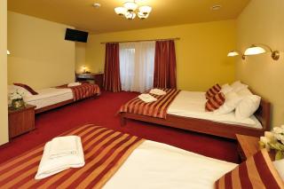 Hotel Na Błoniach - Bielsko-Biała - 6
