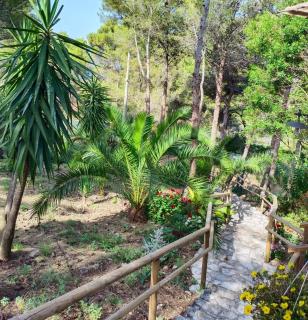 Wild Wild Nest Sperlongaresort - 4