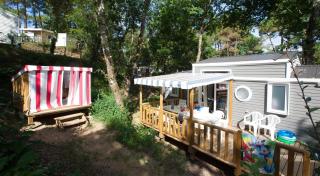 Camping Les Pins de la Coubre - 6