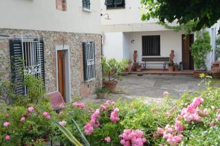 Casa1 - Monsummano Terme - 5