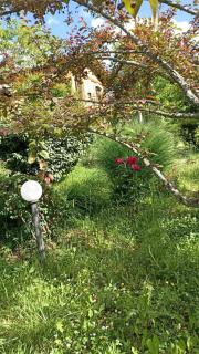 Terra di Magie - Sarnano - 1