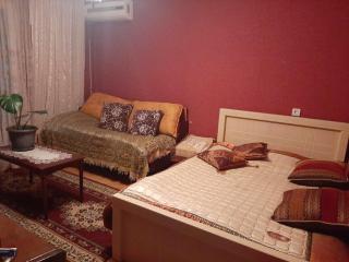 Pirosmani House - Kutaisi - 4