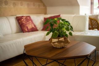 Triglav sunset apartment - Bled - 8