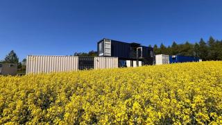 Arche Siedlisko Hopkie - - 3