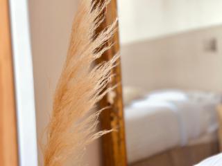 Le Zen-Appartement 3 Pièces Cannes Centre - 7