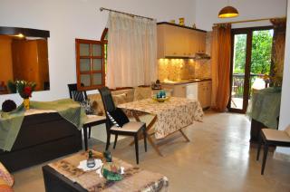 Holiday House Litsa with parking and gardens 50m from Agios Gordios Beach - 2